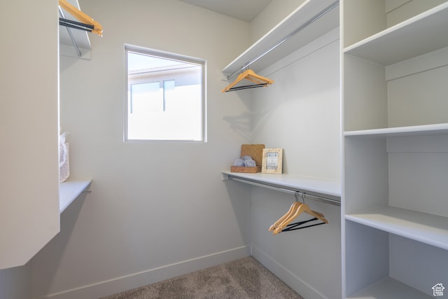 278 N 2020 W, Hurricane, UT 84737 - spacious closet with carpet flooring