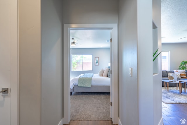 278 N 2020 W, Hurricane, UT 84737 - hallway featuring a textured ceiling and wood-type flooring