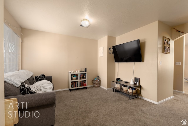 living room featuring a textured ceiling and carpet