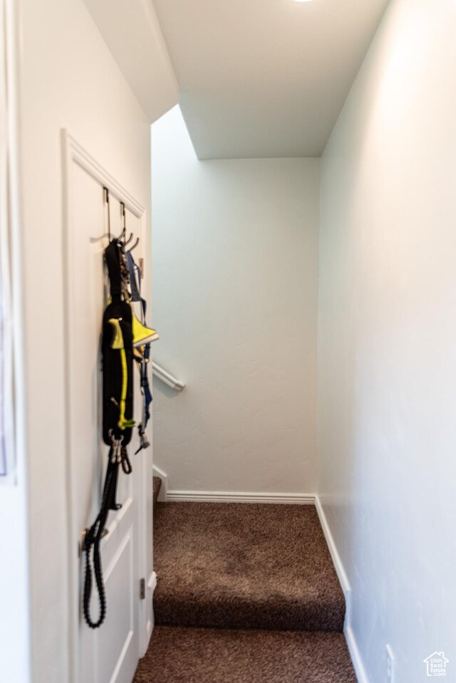 stairs with carpet floors and baseboards