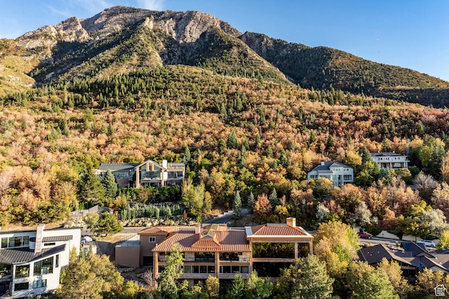 3809 E Thousand Oaks Cir, Salt Lake City, UT 84124 - mountain view with a forest