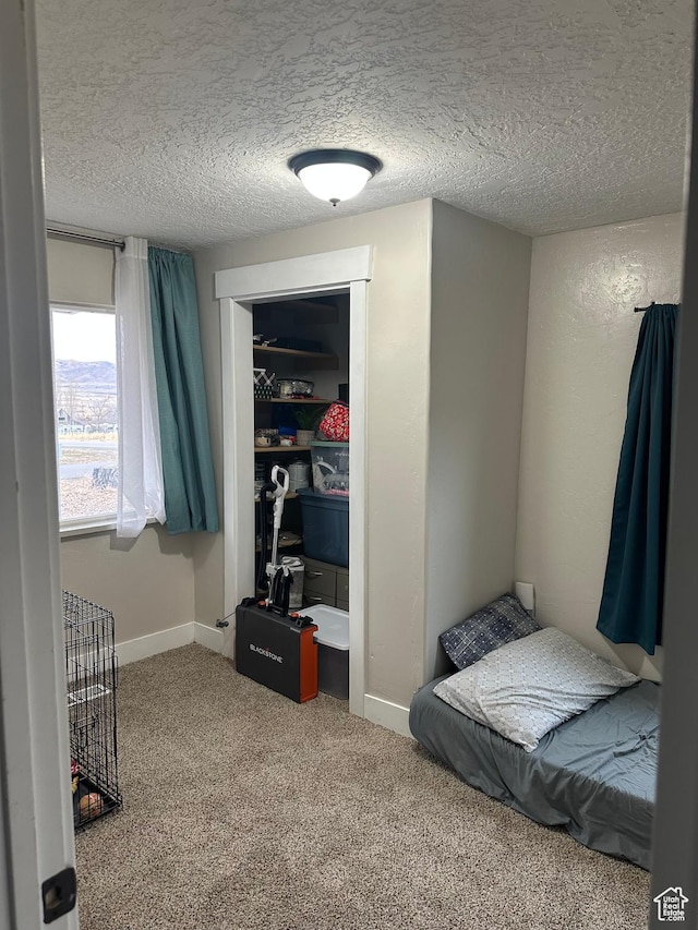 bedroom with carpet, a closet, baseboards, and a textured ceiling
