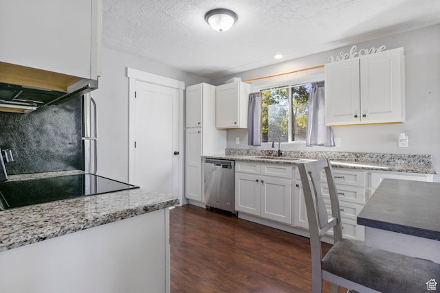 kitchen featuring a textured ceiling, stainless steel dishwasher, dark wood-style floors, and a sink