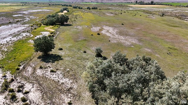 3340 S Buffalo Hollow Rd, Lawrence, UT 84528 - photo 40