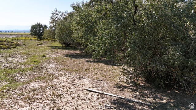 3340 S Buffalo Hollow Rd, Lawrence, UT 84528 - photo 18