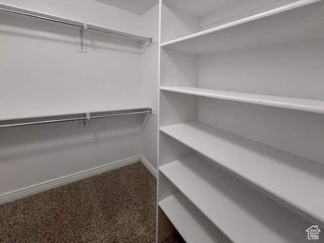 spacious closet featuring carpet