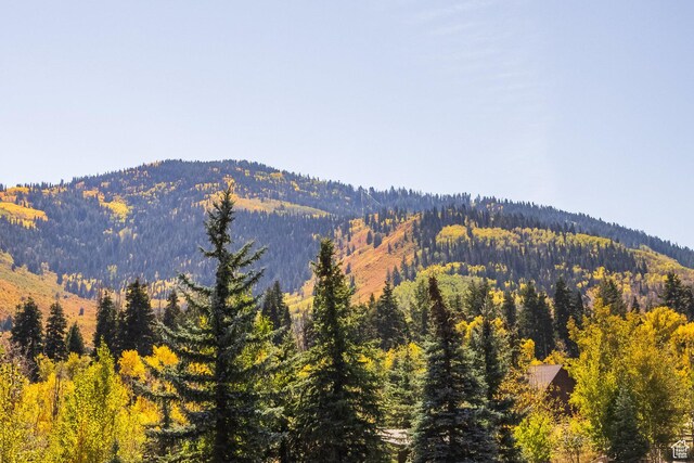 3576 Ridgeline Dr Unit 14-C, Park City, UT 84098 - view of mountain backdrop with a heavily wooded area