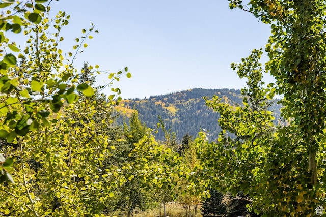 3576 Ridgeline Dr Unit 14-C, Park City, UT 84098 - mountain view with a forest
