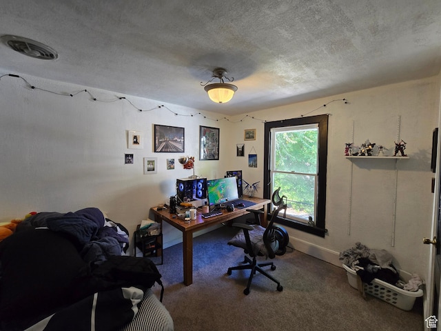 379 N 500 E, Provo, UT 84606 - carpeted home office featuring a textured ceiling and baseboards