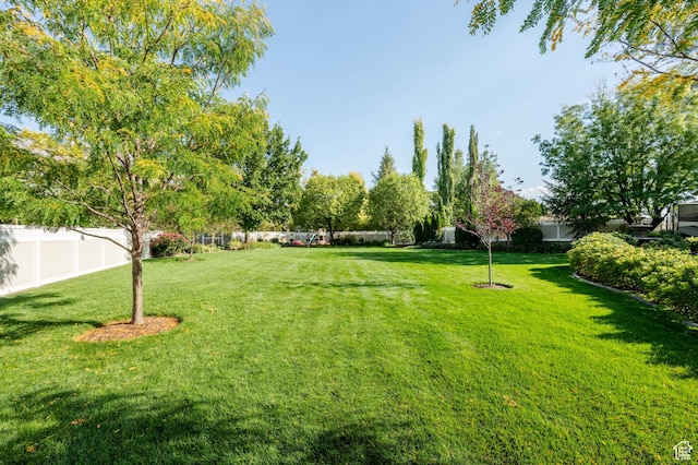 2662 N 1550 W, Pleasant Grove, UT 84062 - view of yard