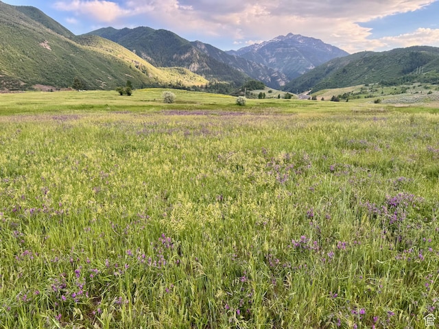 9000 S Meadow Dr W Unit A43, Heber City, UT 84032