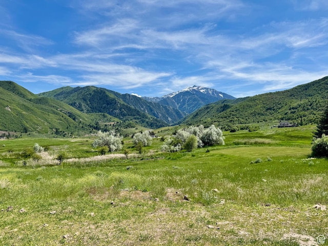 9000 S Meadow Dr W Unit A43, Heber City, UT 84032
