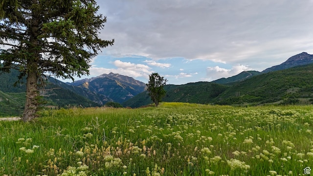 9000 S Meadow Dr W Unit A43, Heber City, UT 84032