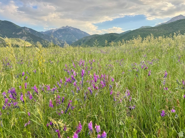 9000 S Meadow Dr W Unit A43, Heber City, UT 84032