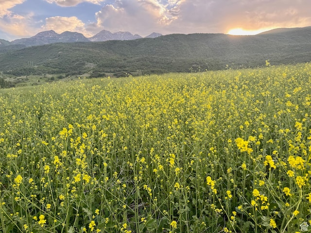 9000 S Meadow Dr W Unit A43, Heber City, UT 84032
