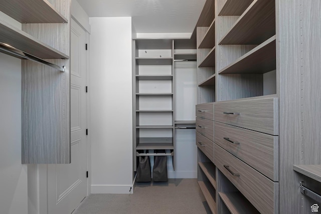 731 W Sara Dr, Saratoga Springs, UT 84045 - spacious closet featuring light colored carpet