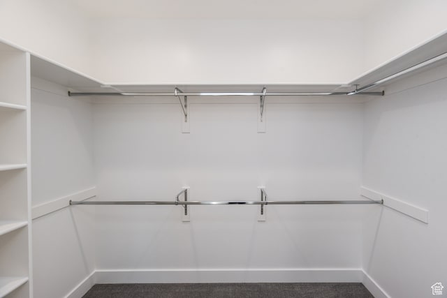 110 S 950 E Unit 45, Hyde Park, UT 84318 - spacious closet featuring dark carpet