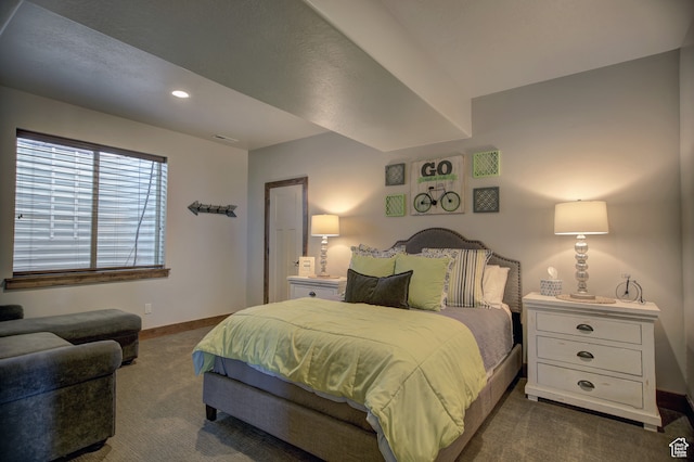 86 Aster Pl, Fish Haven, ID 83287 - bedroom with dark colored carpet