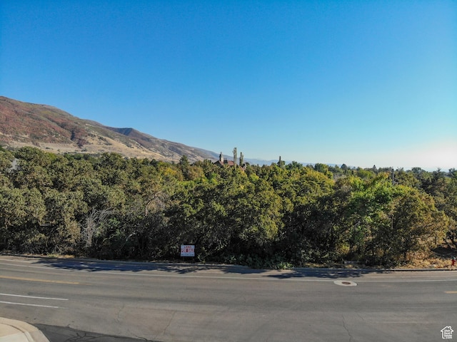 928 E Mutton Hollow Rd, Kaysville, UT 84037