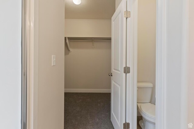 1696 S Windsong Dr Unit 362, Santaquin, UT 84655 - walk in closet featuring dark carpet