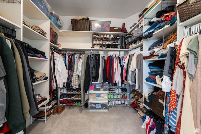 walk in closet with carpet