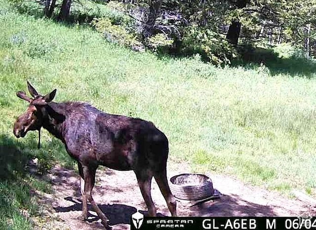 1050 S 950th Rd E, Albion, ID 83311 - photo 8