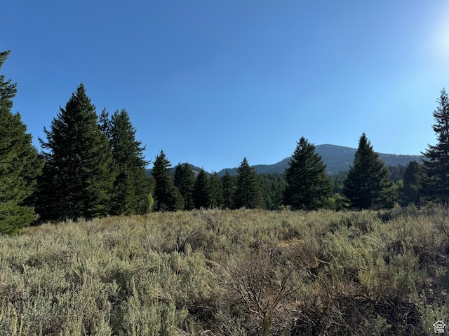 1050 S 950th Rd E, Albion, ID 83311 - photo 45