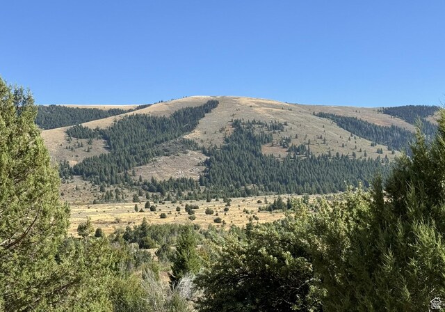 1050 S 950th Rd E, Albion, ID 83311 - photo 52