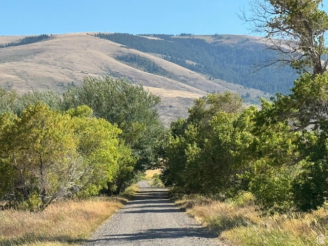 1050 S 950th Rd E, Albion, ID 83311 - photo 16