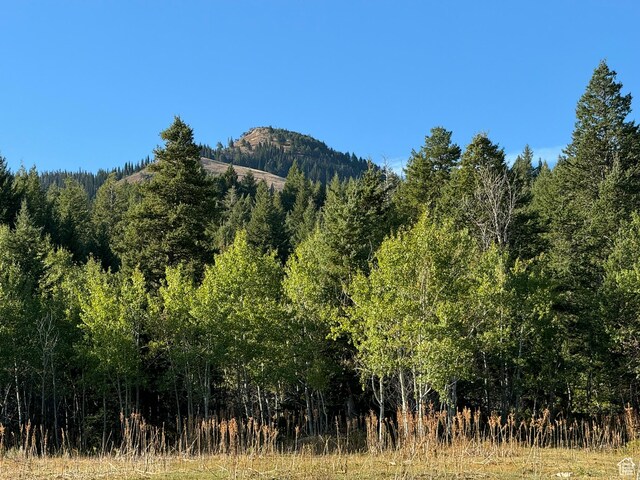 1050 S 950th Rd E, Albion, ID 83311 - photo 53