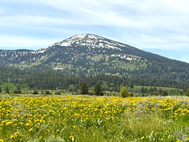 1050 S 950th Rd E, Albion, ID 83311 - photo 7