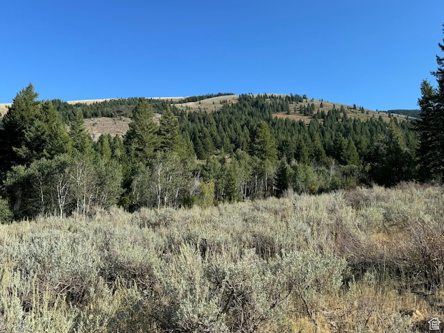 1050 S 950th Rd E, Albion, ID 83311 - photo 44