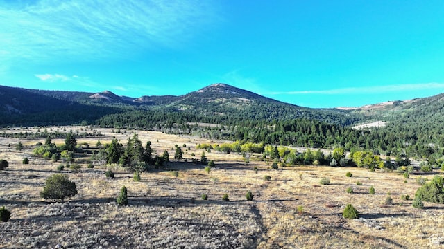 1050 S 950th Rd E, Albion, ID 83311 - photo 26
