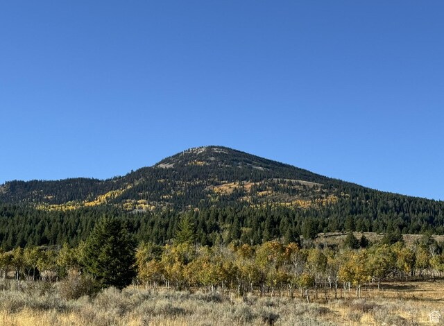 1050 S 950th Rd E, Albion, ID 83311 - photo 62