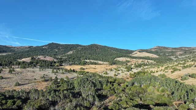 1050 S 950th Rd E, Albion, ID 83311 - photo 41