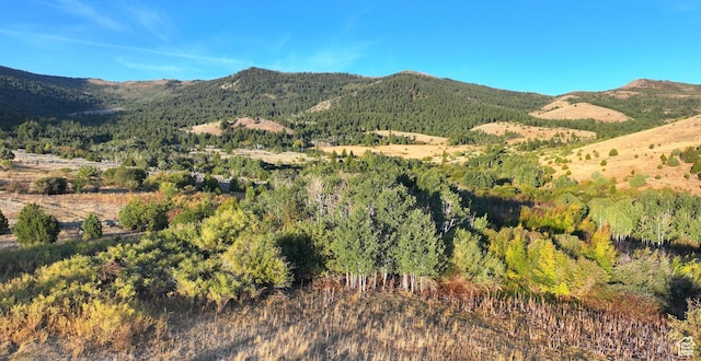 1050 S 950th Rd E, Albion, ID 83311 - photo 36