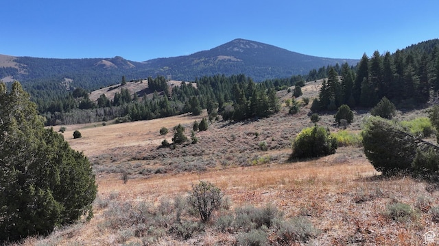 1050 S 950th Rd E, Albion, ID 83311 - photo 29