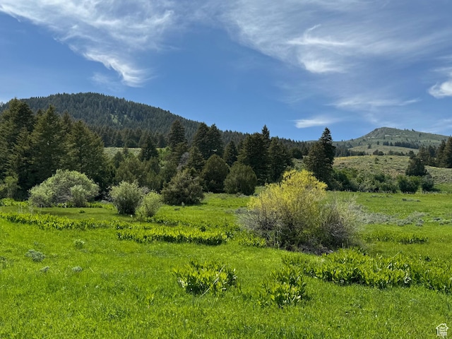 1050 S 950th Rd E, Albion, ID 83311 - photo 4