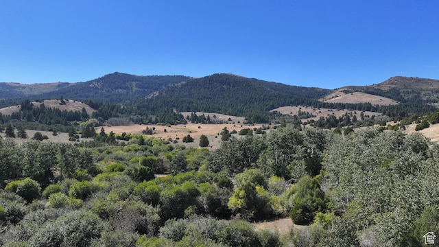 1050 S 950th Rd E, Albion, ID 83311 - photo 30