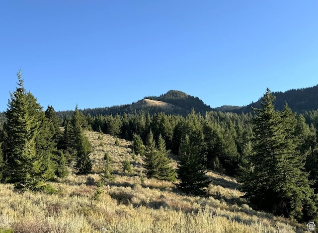 1050 S 950th Rd E, Albion, ID 83311 - photo 50
