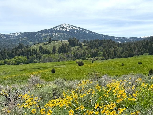 1050 S 950th Rd E, Albion, ID 83311 - photo 2