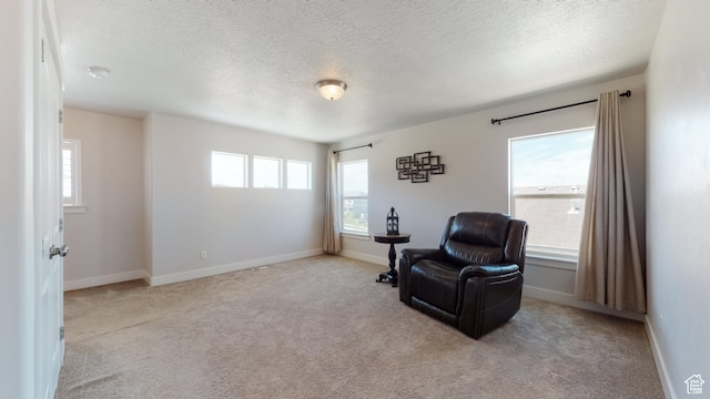 sitting room with a textured ceiling and carpet