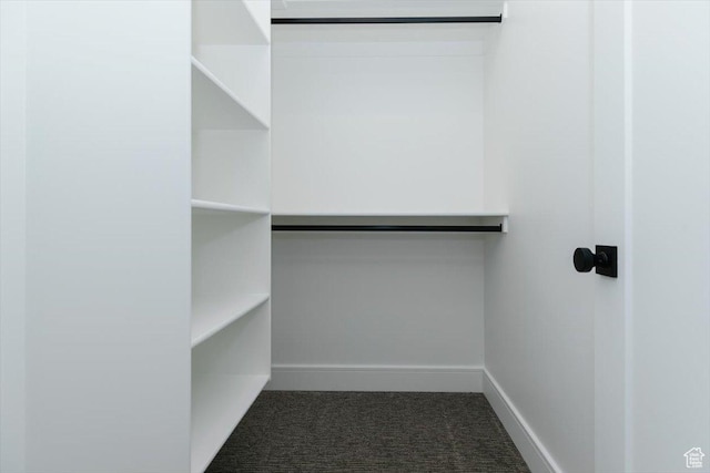 1153 E 160 N, Hyde Park, UT 84318 - spacious closet featuring carpet flooring