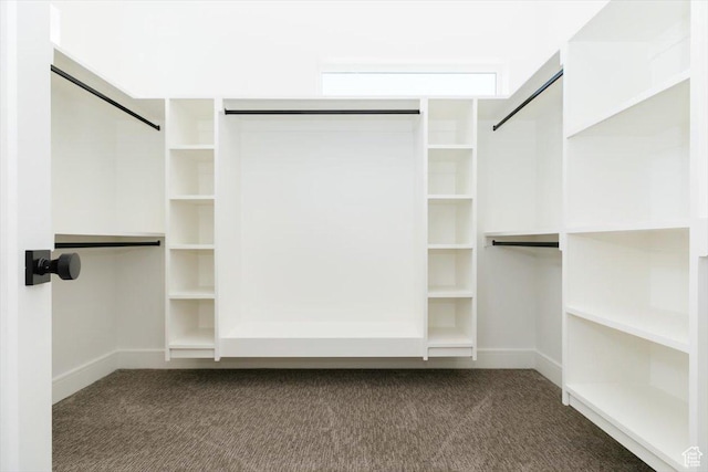 1153 E 160 N, Hyde Park, UT 84318 - walk in closet with carpet flooring