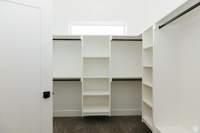 1153 E 160 N, Hyde Park, UT 84318 - spacious closet with dark colored carpet