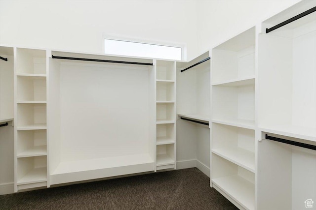 1153 E 160 N, Hyde Park, UT 84318 - spacious closet featuring dark carpet