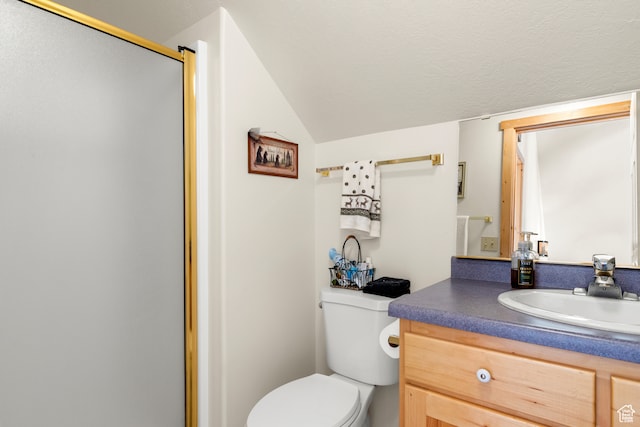 213 Lewis Loop Unit 38, Fish Haven, ID 83287 - bathroom featuring toilet, lofted ceiling, vanity, and walk in shower
