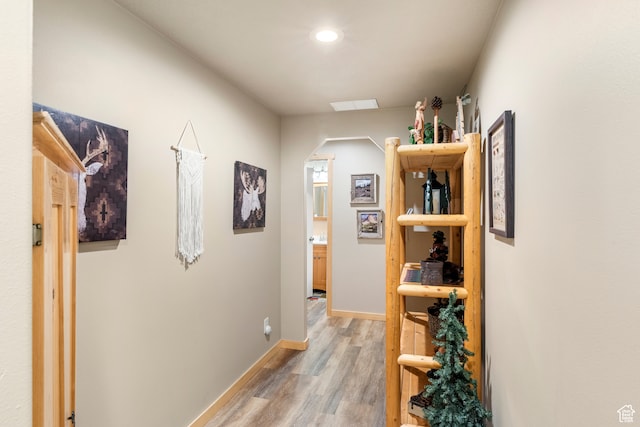 213 Lewis Loop Unit 38, Fish Haven, ID 83287 - hall featuring wood-type flooring