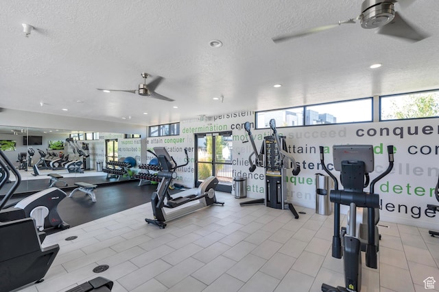 548 E 300 N, Vineyard, UT 84059 - gym with a wealth of natural light, ceiling fan, recessed lighting, and a textured ceiling