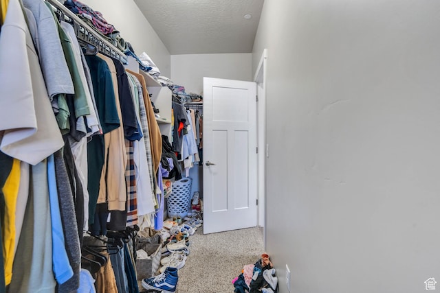 548 E 300 N, Vineyard, UT 84059 - view of walk in closet